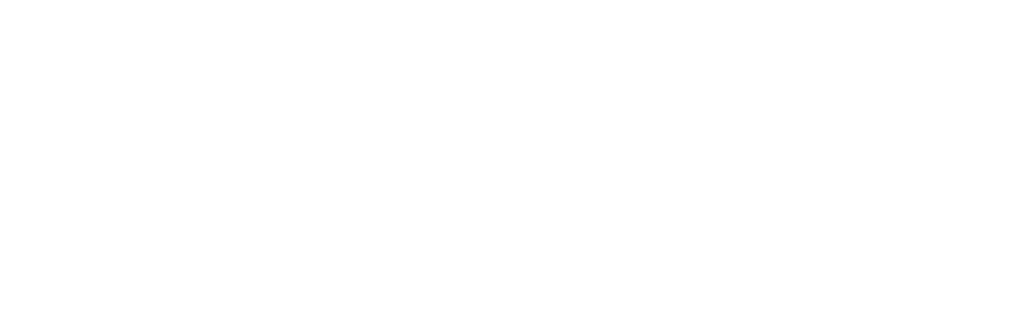 Next Level Racing